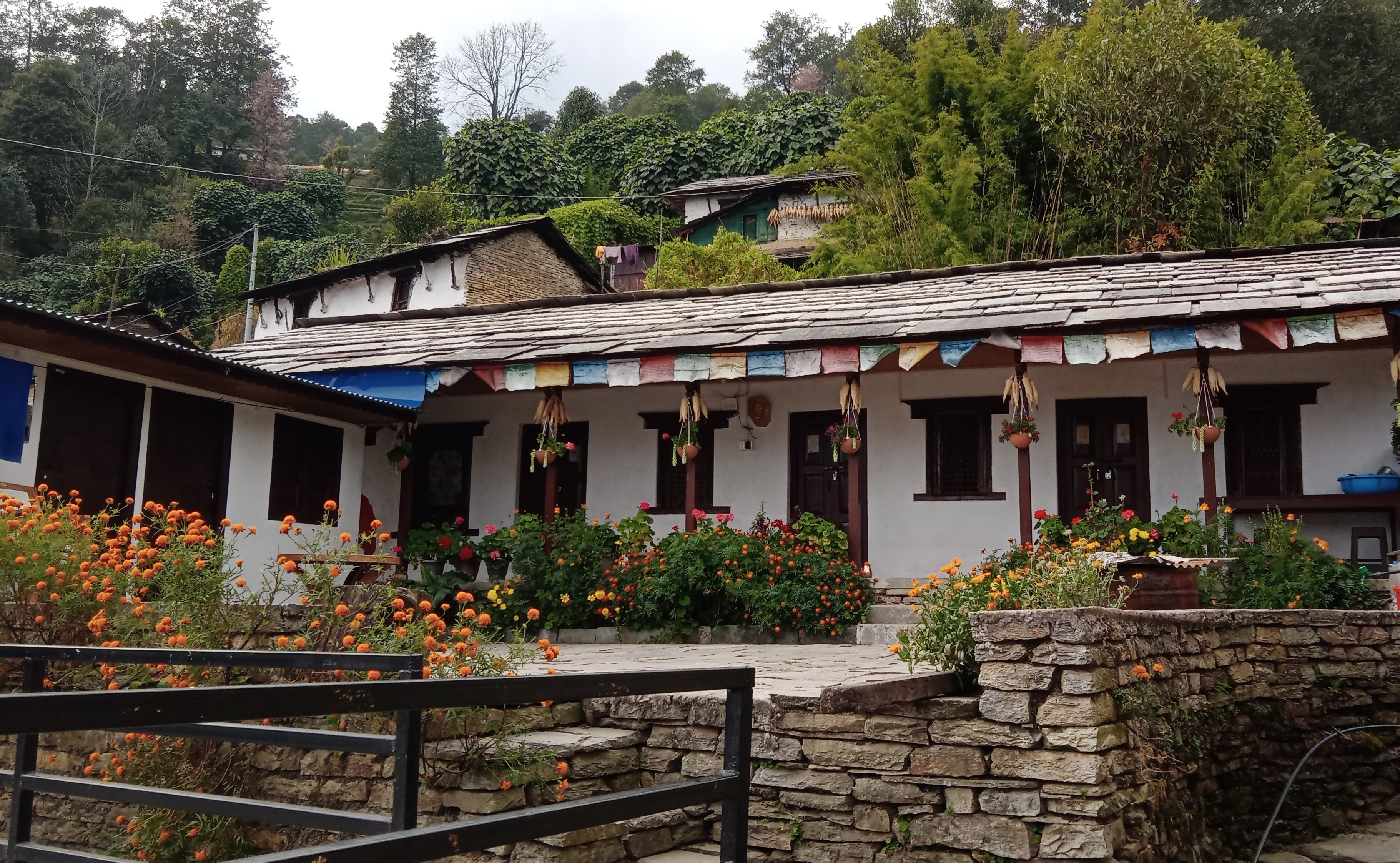 ghandruk (5)-1.jpg